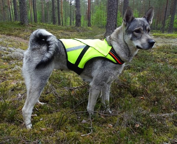 KarDog Jeri Kelluttava Huomioliivi 2-V&auml;rinen