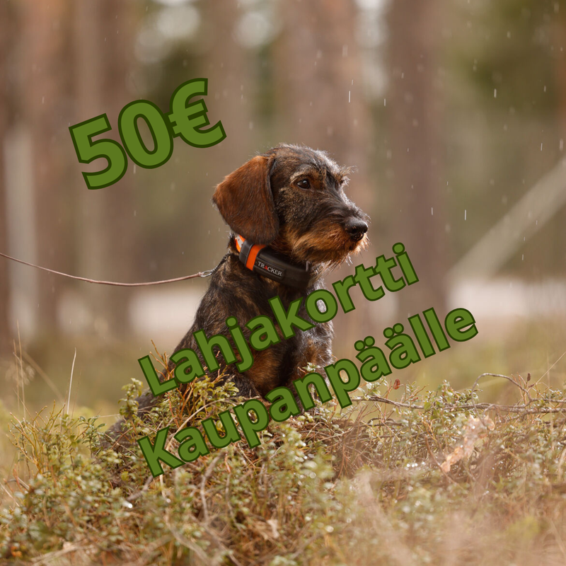 Tracker Luna 4G Koiratutka + 50&euro; Lahjakortti