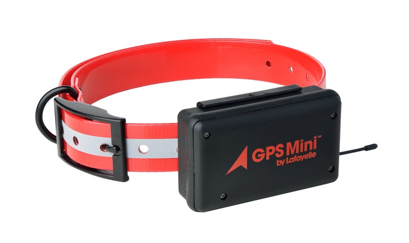Lafayette GPS Mini C2 Koiratutka + 50&euro; Lahjakortti