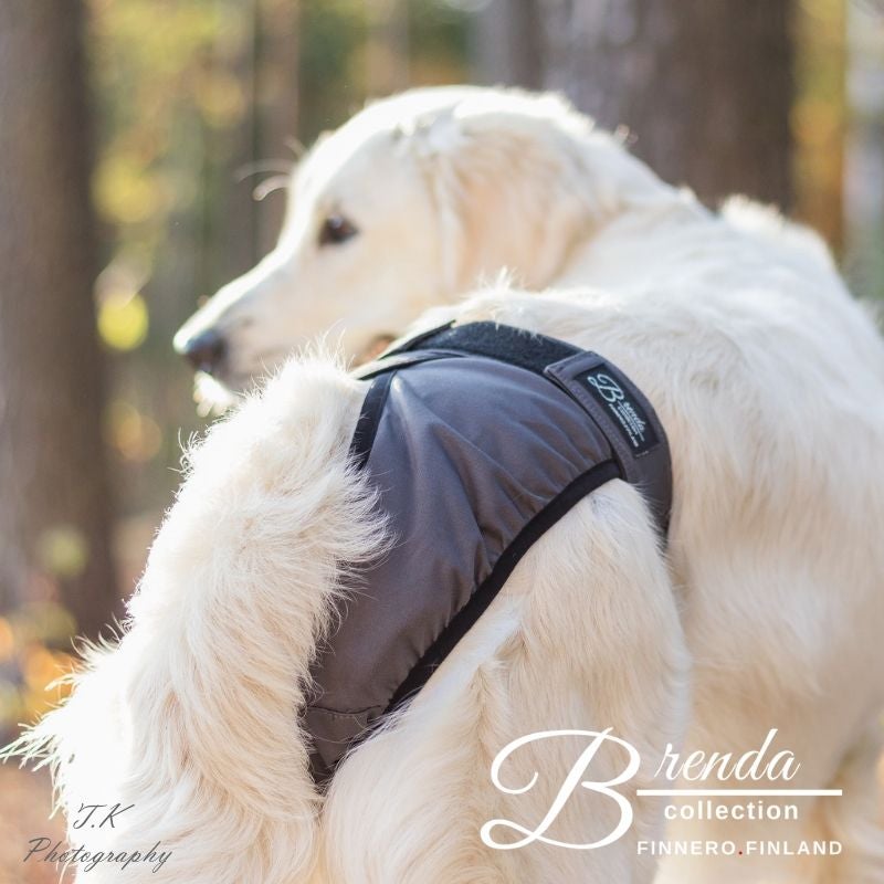 FinNero Brenda Juoksuhousut Tummanharmaa