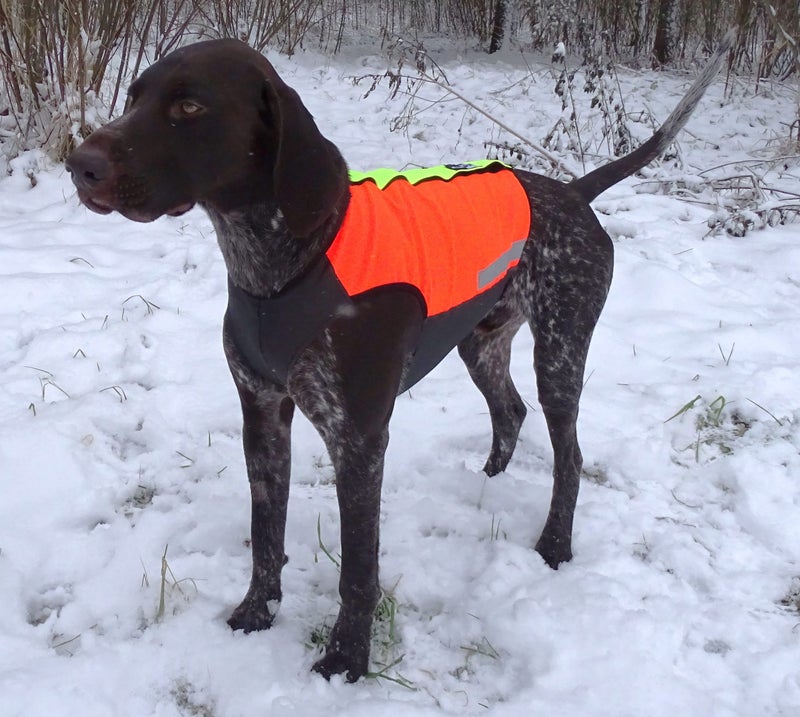 KarDog Helmi Viiltosuojaliivi 2-V&auml;rinen