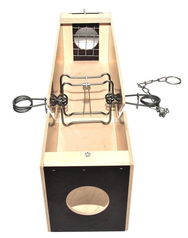 Jalmarin Dukeboksi, Ilman rautoja