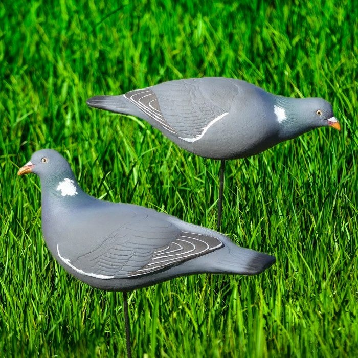 Final Approach Last Pass Kyyhkykaave 12kpl