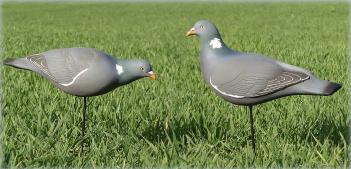Final Approach Last Pass Kyyhkykaave 12kpl