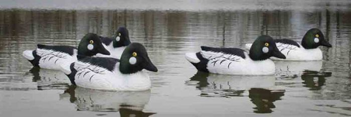 Final Approch Live Common Telkk&auml;kaave Uros 6kpl