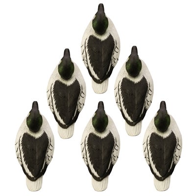 Final Approch Live Common Telkk&auml;kaave Uros 6kpl