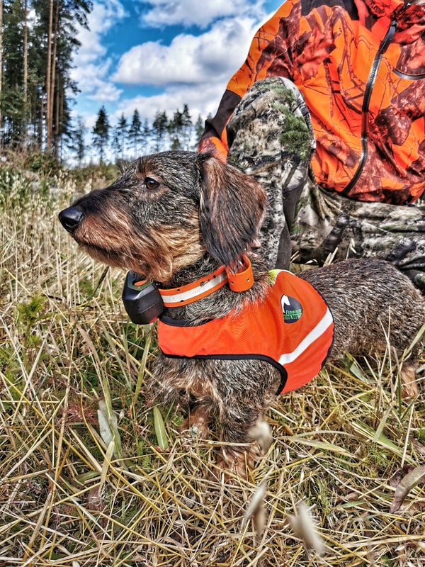 Finnish Huntingdog&reg; Ukko 2-V&auml;rinen Koiran huomioliivi Koko XS