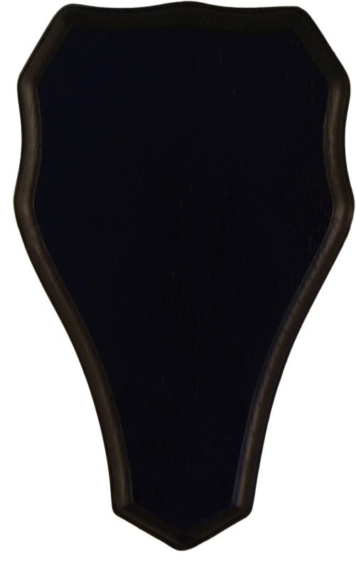 Trofee Taustalevy Kauris 23x14cm, Tumma