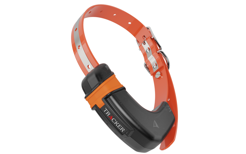 Tracker Luna 4G Koiratutka + 50&euro; Lahjakortti