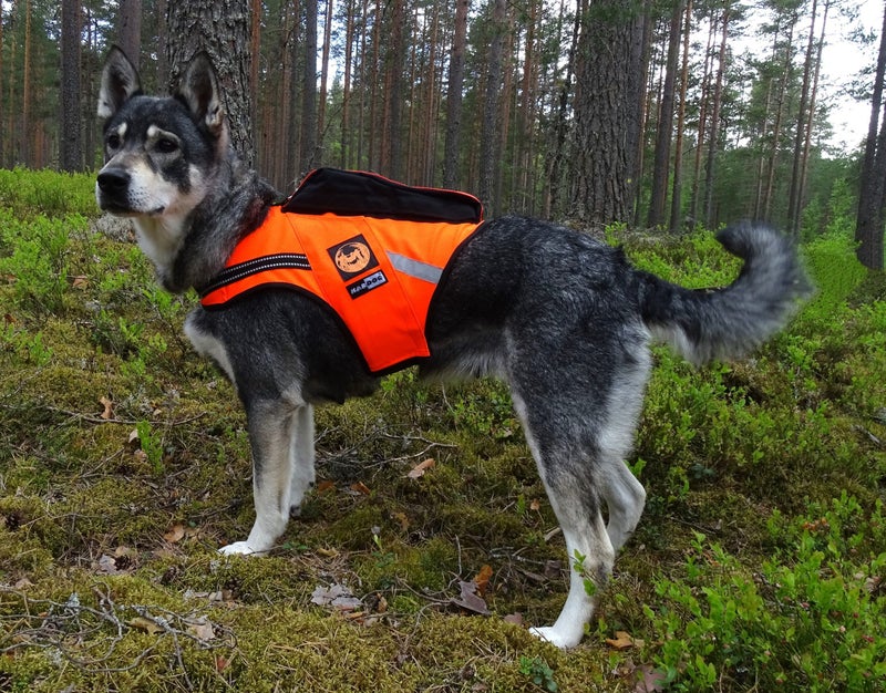 KarDog Jehu Kelluttava GPS-Huomioliivi 2-V&auml;rinen