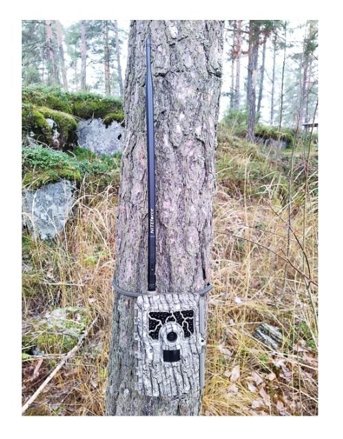 NITEforce Riistakameran Tehoantenni