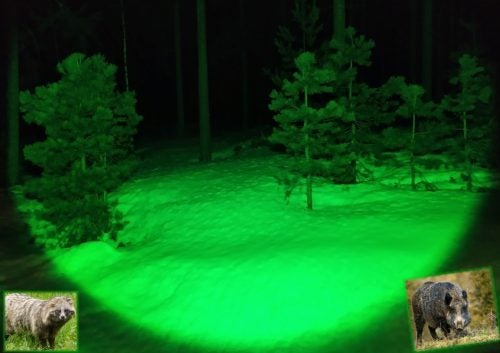 NITEforce Feeder Ruokintavalo