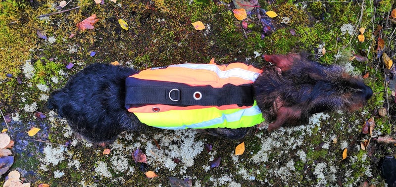 KarDog Saga MK Kelluttava GPS-Huomioliivi 2-V&auml;rinen