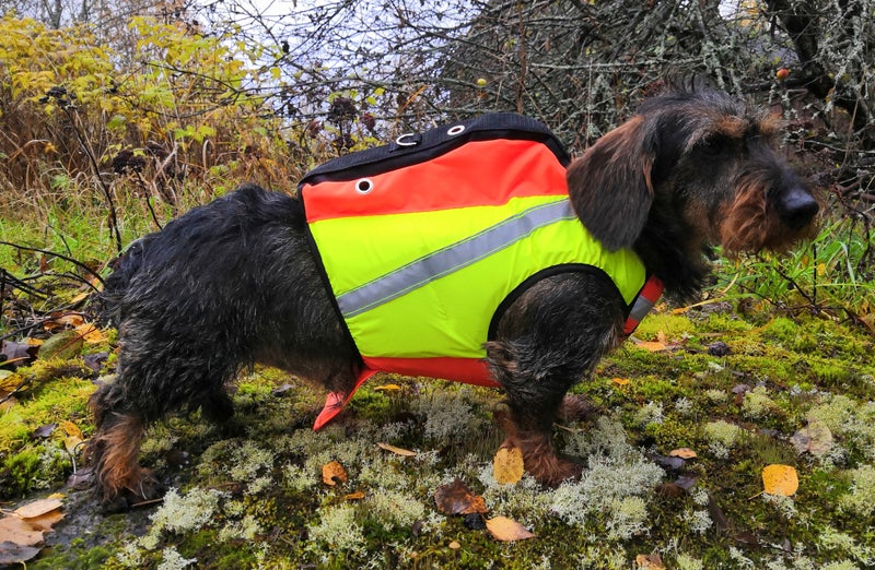 KarDog Saga MK Kelluttava GPS-Huomioliivi 2-V&auml;rinen