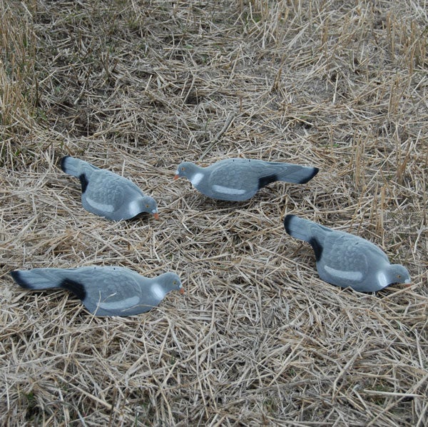 Live Decoys Houkutuskaave Kyyhky Kuorikaave