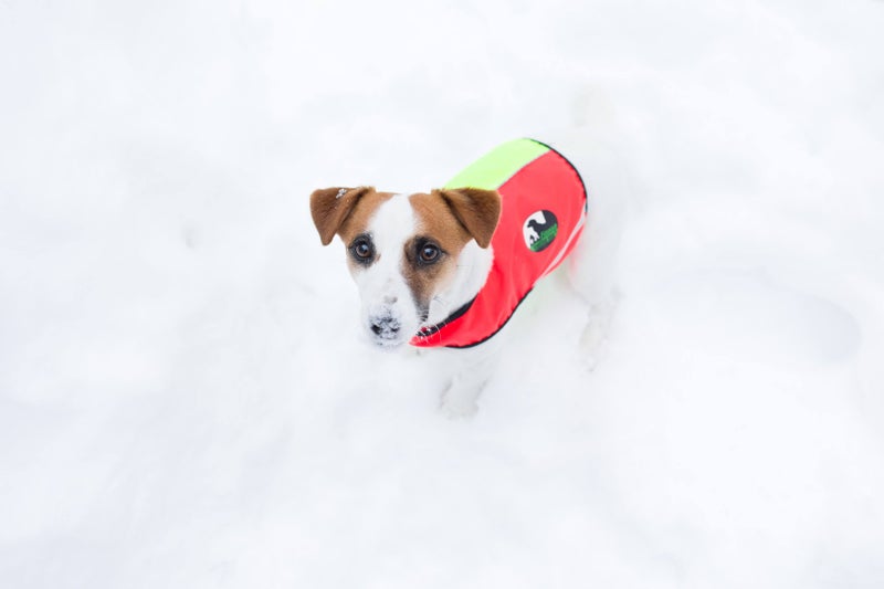 Finnish Huntingdog&reg; Ukko 2-V&auml;rinen Koiran huomioliivi Koko XS