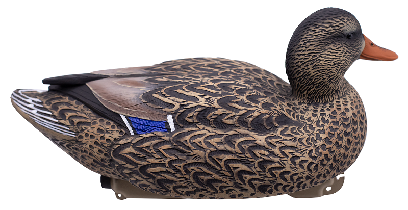 Final Approach HD Live Series Mallard Houkutuskaaveet 12kpl