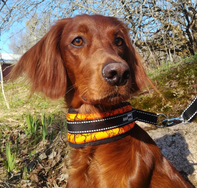 KarDog Elli puolikirist&auml;v&auml; panta, Risucamo