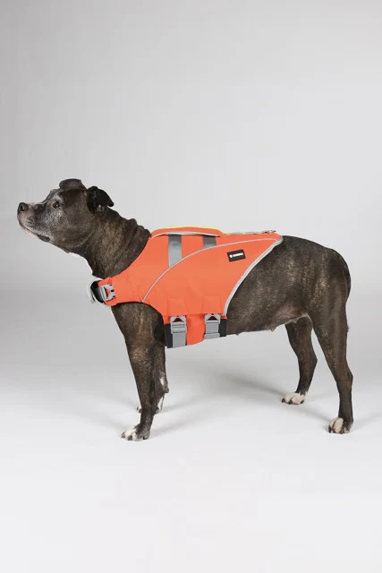 Hundra Koiran Pelastusliivi, Oranssi - Keltainen