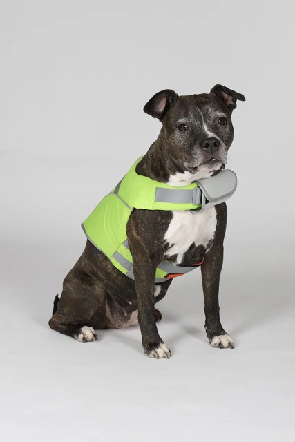 Hundra Koiran Pelastusliivi, Oranssi - Keltainen