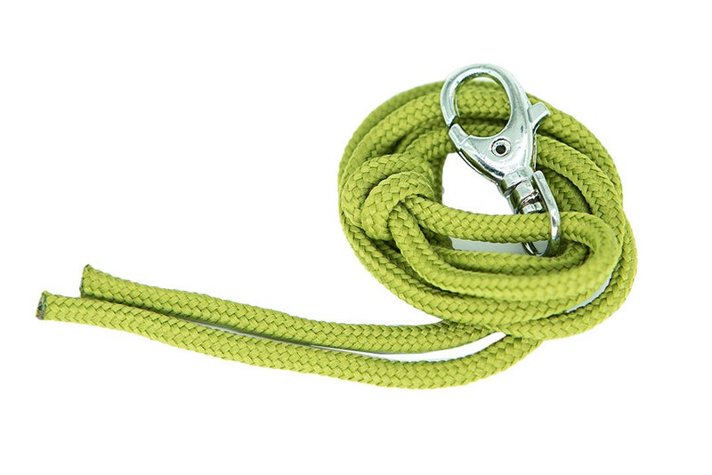 Acme Koirapillin Pillinaru