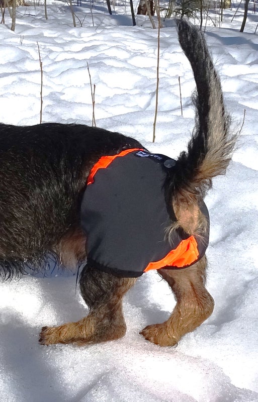 KarDog Kaapo Kivessuoja