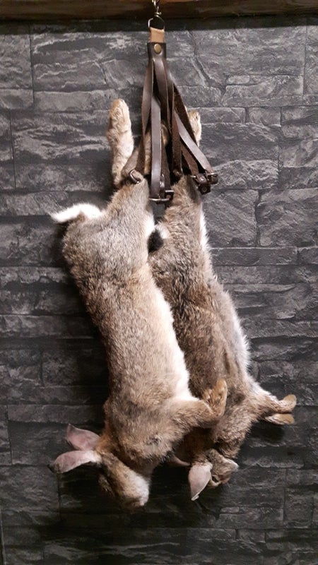 Koulutusriista Villikani