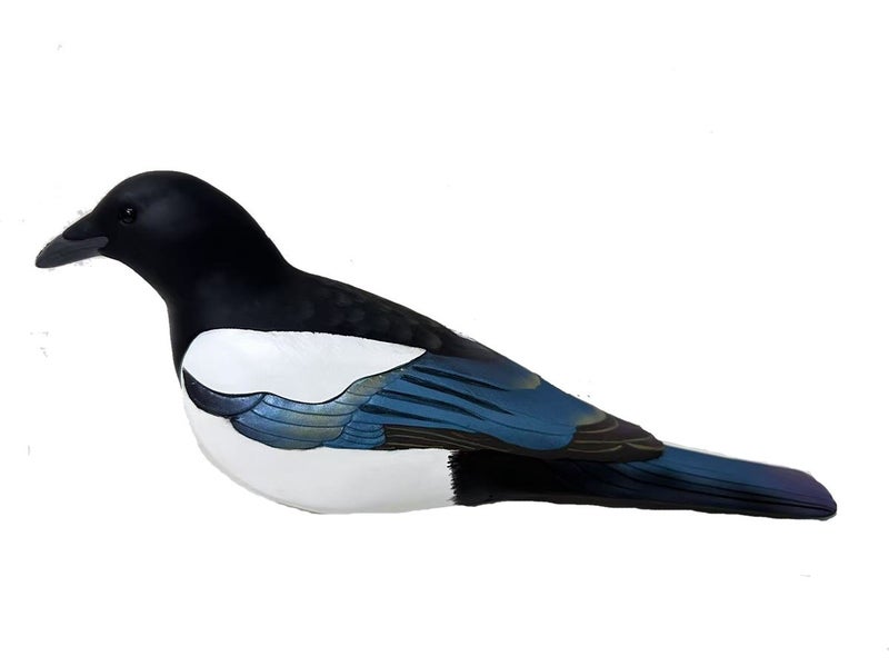 Final Approach Last Pass Harakkakaave, 4kpl