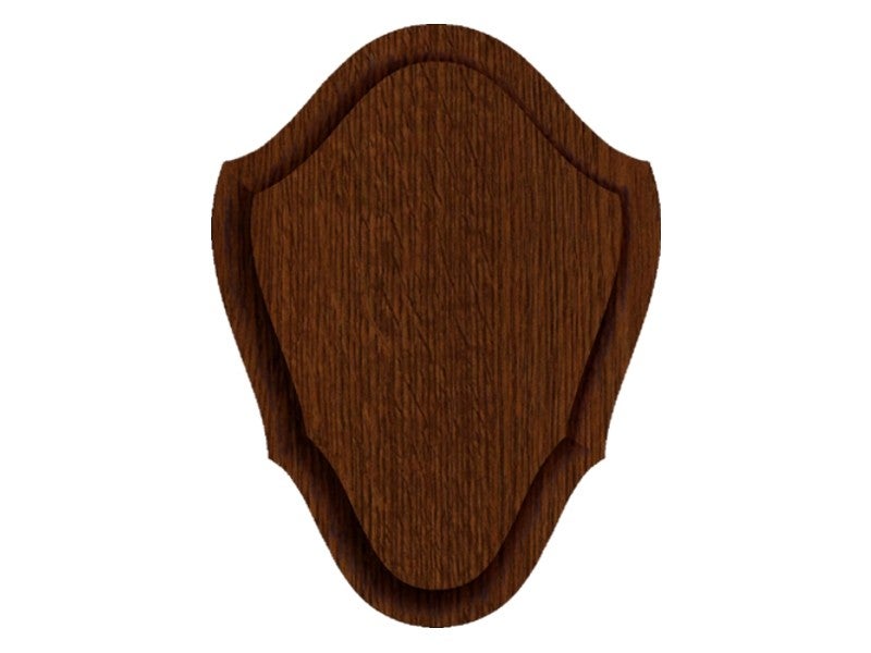 Trofee Taustalevy Majava