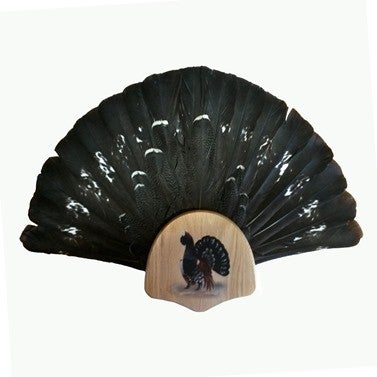 Pyrst&ouml;teline Ukkometso