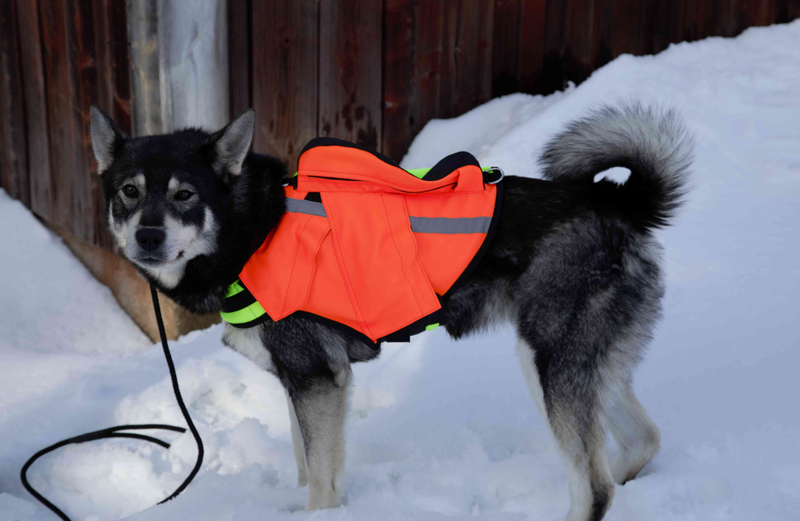 NordicDog Dina Kelluttava GPS Huomioliivi Koiralle