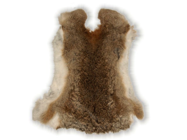 Firedog Kaninnahka, Parkittu