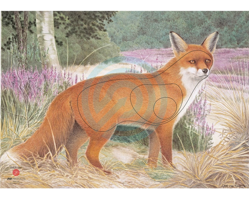 JVD Paperi Taulu  Kettu