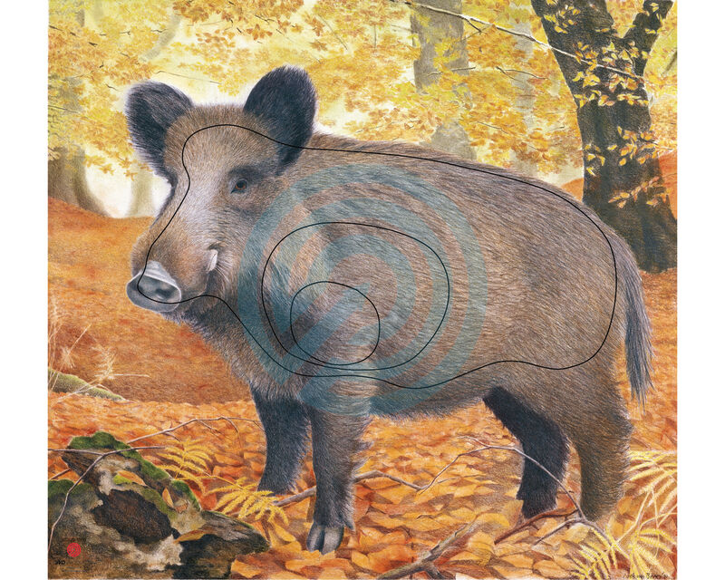 JVD Paperi Taulu  Villisika