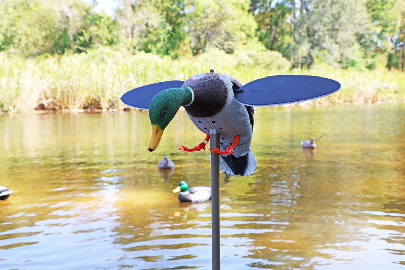 MOJO&reg; Silver Mallard Duck &ndash; 25th Anniversary, Robosorsa