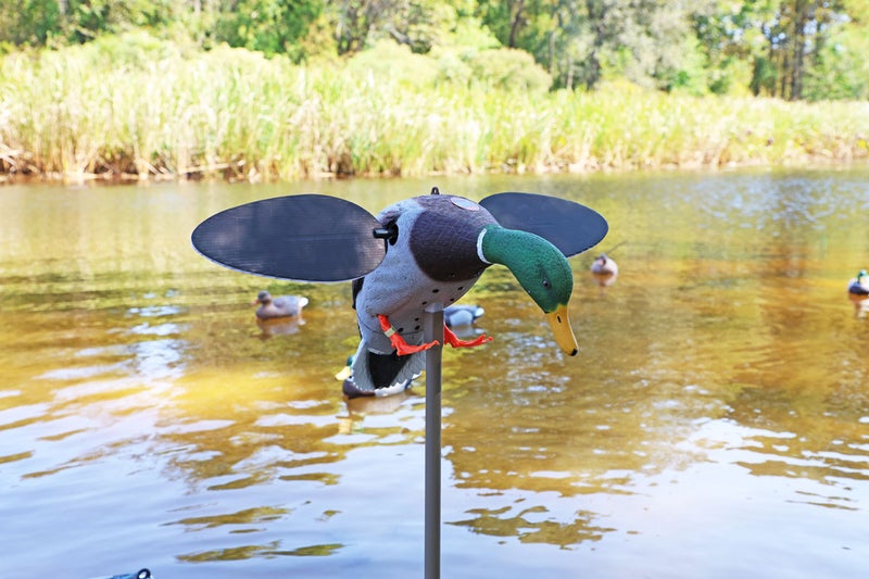 MOJO&reg; Silver Mallard Duck &ndash; 25th Anniversary, Robosorsa