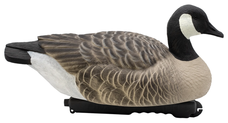 Final Approach Standard Kelluva Kanadanhanhikaave, 6kpl