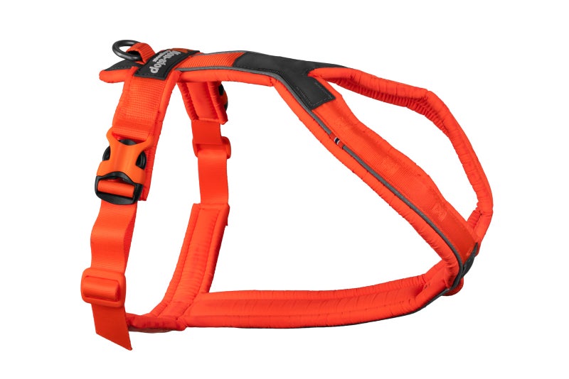 Non-Stop Dogwear Line Harness 5.0 J&auml;lkivaljaat, Oranssi
