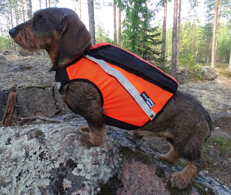 KarDog Uuno MK GPS-Huomioliivi, Oranssi