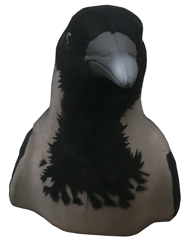 Final Approach Last Pass Variskaave Nukattu 3kpl