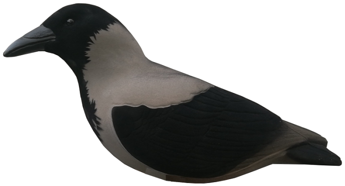 Final Approach Last Pass Variskaave