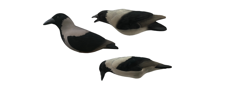 Final Approach Last Pass Variskaave Nukattu 3kpl