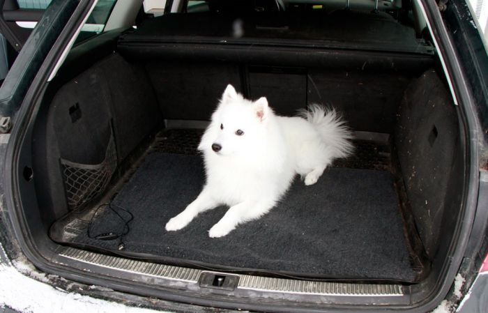 Vilu-L&auml;mp&ouml;alusta