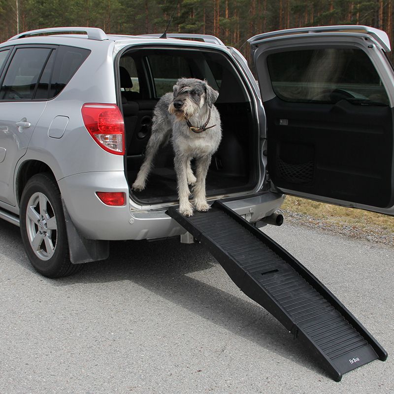 Brava Koiran Ramppi, Salkku