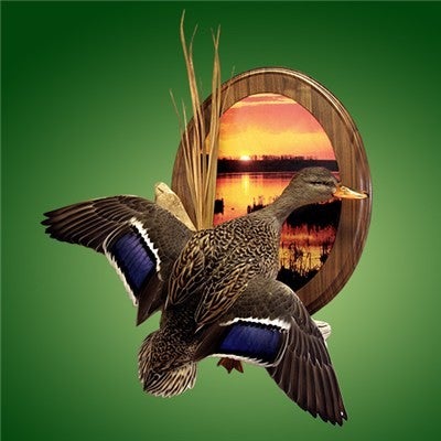 Trofee taustamaisema j&auml;rvi1